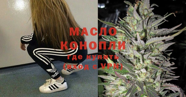 шишки Арсеньев