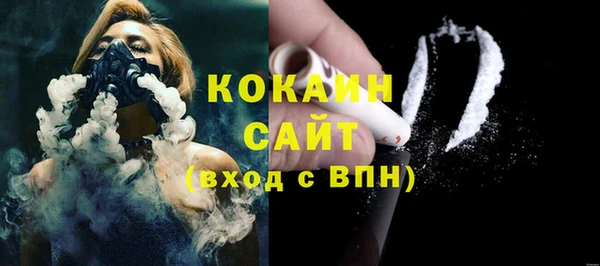 шишки Арсеньев
