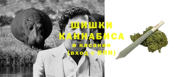 прущие грибы Аркадак