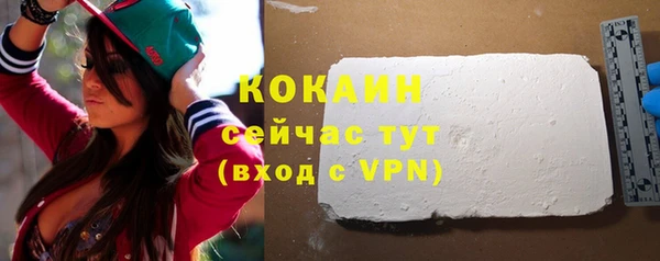 шишки Арсеньев