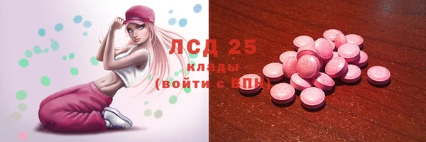 прущие грибы Аркадак