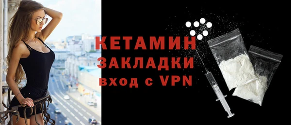 шишки Арсеньев