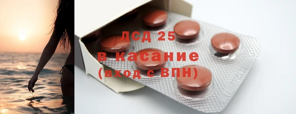 прущие грибы Аркадак