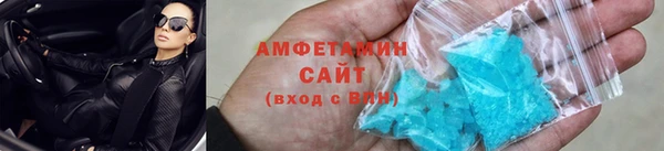 шишки Арсеньев