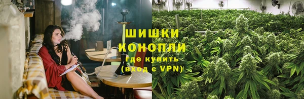 шишки Арсеньев