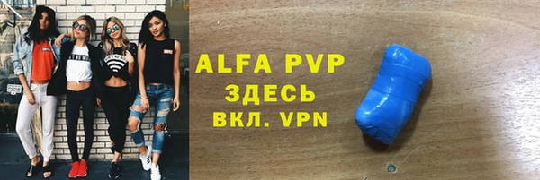 прущие грибы Аркадак