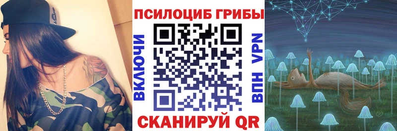 Купить  Павлово  Псилоцибиновые грибы Psilocybine cubensis 